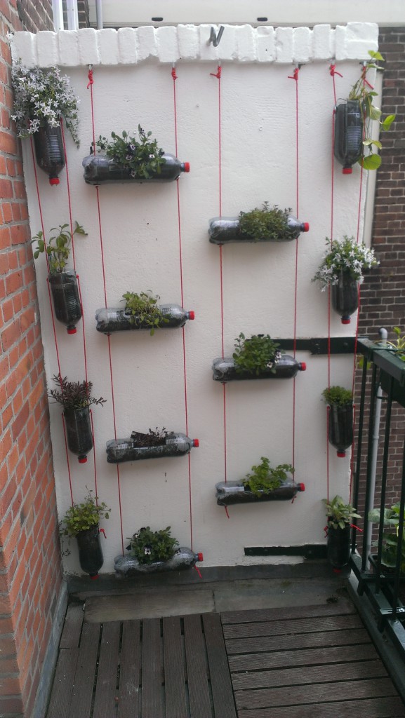 De verticale tuin het eindresultaat