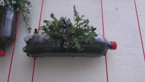 De verticale tuin het eindresultaat