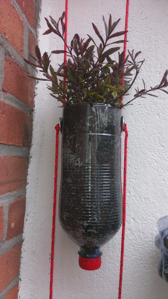 De verticale tuin het eindresultaat